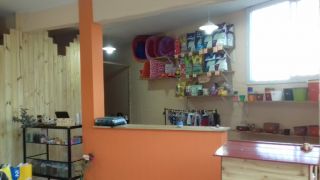 tiendas para comprar caballetes moto mendoza NANTÚ-Tienda Para Mascotas