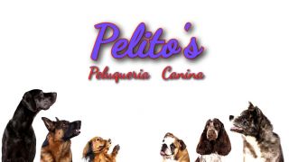 guarderia perros mendoza Pelito's Peluqueria canina