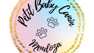 criaderos de perros en mendoza Petit Baby Canin
