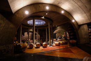 bicicletas de paseo en mendoza Mendoza Wine Bike Tour - Sergio Sanchi