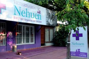 farmacias veterinarias en mendoza VETERINARIA NEHUEN