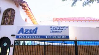 apartamentos que admiten perros en mendoza Azul Departamentos