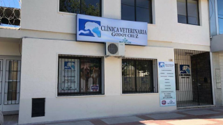 clinicas perros mendoza CLINICA VETERINARIA GODOY CRUZ