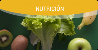 clinicas nutricion mendoza Nativa Salud Mendoza